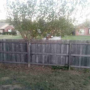 Bush Trimming by Type A Lawn Guy reviewed on October 10, 2026
