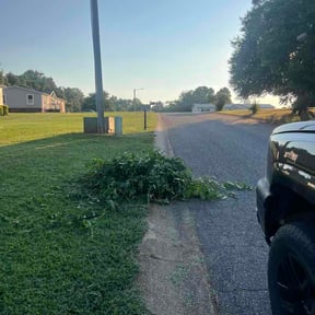 Flower Bed Weeding by Avaron reviewed on September 11, 2026
