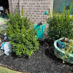 Flower Bed Weeding by DC Exclsuive Property Services LLC reviewed on October 9, 2026