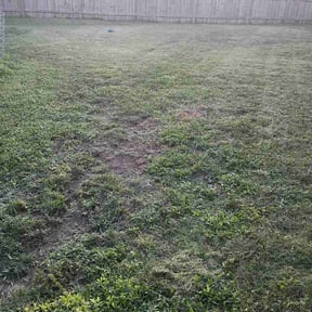 Flower Bed Weeding by Silva lawn care reviewed on September 12, 2026