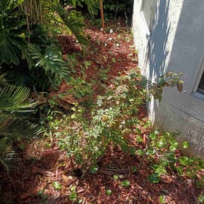 Flower Bed Weeding by Mg and Son reviewed on October 9, 2026
