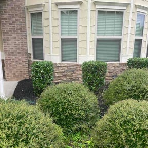 Bush Trimming by Farmer Shawns reviewed on October 19, 2026