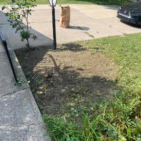 Flower Bed Weeding by Fribourg Lawn Care reviewed on September 17, 2026