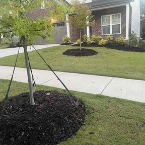 Mulching by JCB Lawn Service reviewed on October 13, 2026