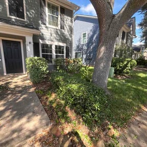 Bush Trimming by Melendez lawns service reviewed on October 14, 2026