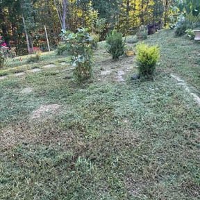 Flower Bed Weeding by N2LC reviewed on September 14, 2026