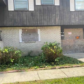 Bush Trimming by GreenEdge Property Services LLC reviewed on October 14, 2026