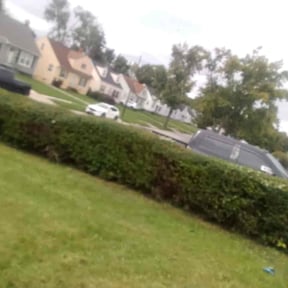 Bush Trimming by All around maintenance reviewed on October 13, 2026