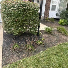 Flower Bed Weeding by Lawn legends reviewed on September 15, 2026