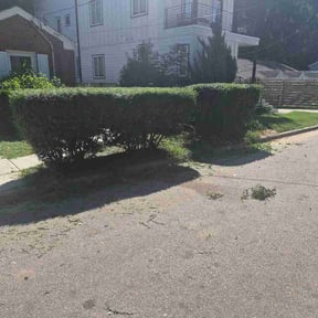 Bush Trimming by RSR landscaping reviewed on October 10, 2026