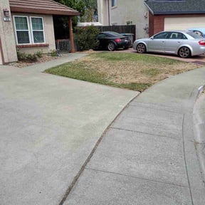 Flower Bed Weeding by Venerable Lawn Care LLC reviewed on September 13, 2026