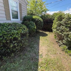 Bush Trimming by New leaf Landscaping  reviewed on October 17, 2026
