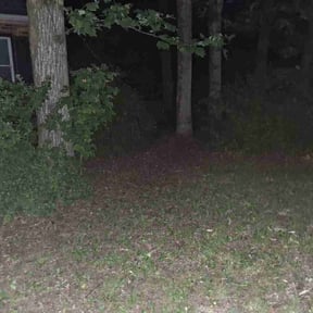 Leaf Removal by 4 Season Lawnscapes reviewed on September 17, 2026