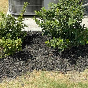 Flower Bed Weeding by Chibule’s Snow Services reviewed on October 15, 2026