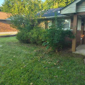 Flower Bed Weeding by Wake and rake lawn care and landscaping reviewed on August 30, 2026