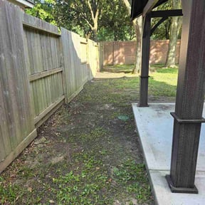 Leaf Removal by Palmetto Land Service reviewed on September 16, 2026