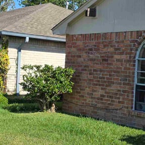 Bush Trimming by Oneal and Co Lawn Care reviewed on October 13, 2026