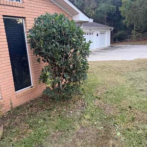 Bush Trimming by JD Landscaping reviewed on September 16, 2026