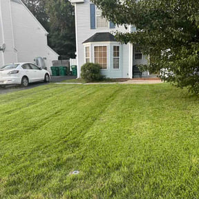 Bush Trimming by A &amp; J Landscaping 206 reviewed on September 14, 2026