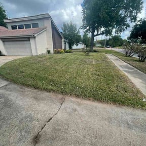 Leaf Removal by EV Great Valley Landscaping,LLC. reviewed on October 14, 2026
