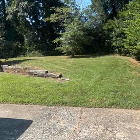 Leaf Removal by Sumner Property Management reviewed on September 17, 2026