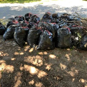 Leaf Removal by Nice Yards! reviewed on October 13, 2026