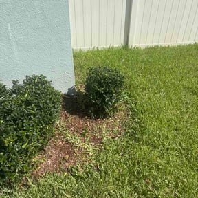 Bush Trimming by Farmer Shawns reviewed on September 13, 2026