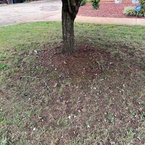 Leaf Removal by Above and Beyond Landscape and Lawn Care Services reviewed on September 13, 2026