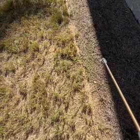 Flower Bed Weeding by Great cut lawn care reviewed on October 15, 2026