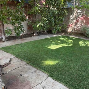 Leaf Removal by Theo's Lawn care reviewed on September 14, 2026