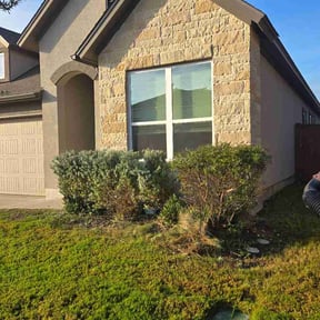 Bush Trimming by RSM LAWNCARE reviewed on October 11, 2026