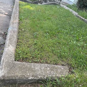 Flower Bed Weeding by Mikes Mowing reviewed on September 12, 2026
