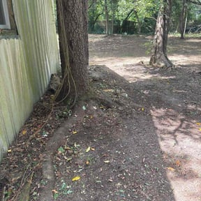 Leaf Removal by Seed 2 Sapling reviewed on September 17, 2026
