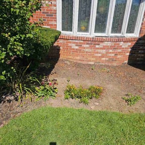 Flower Bed Weeding by Brightpoint Services LLC reviewed on October 13, 2026