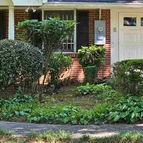 Bush Trimming by A&amp;M Lawn Care reviewed on September 17, 2026