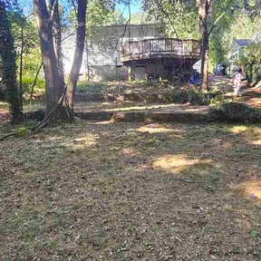 Leaf Removal by Cumberland Greens Lawn Service reviewed on October 11, 2026