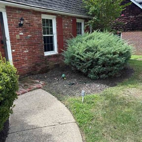 Flower Bed Weeding by Black Mountain Landscaping reviewed on September 12, 2026