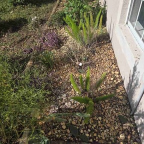 Flower Bed Weeding by Tatums Lawn Care services reviewed on October 15, 2026
