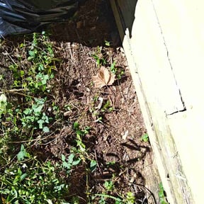 Flower Bed Weeding by ANB Cleaning reviewed on October 15, 2026