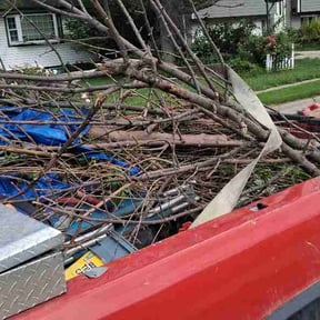 Leaf Removal by JNarayanLandacape reviewed on September 16, 2026