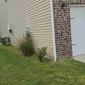 Bush Trimming by Cardinal Lawncare reviewed on September 13, 2026