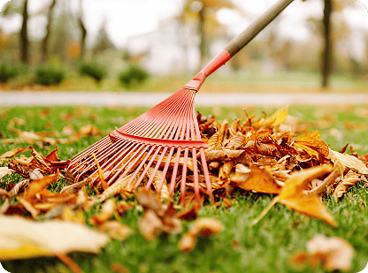 Leaf Removal service in action