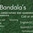 Fausto Bandala
