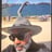 Anthony Nelson
