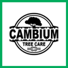 Cambium Tree Care Logo