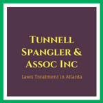 Tunnell Spangler &amp; Assoc Inc Logo