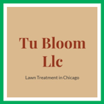 Tu Bloom Llc Logo