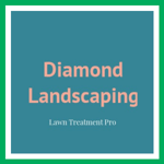 Diamond Landscaping Logo