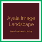 Ayala Image Landscape Logo