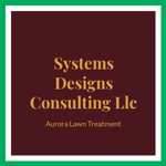 Systems Designs Consulting Llc Logo